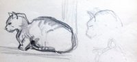 Galerie dessins